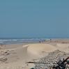 Dunes de la plage de Quend