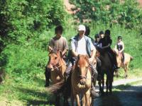 Equitation à proximité du camping en Marquenterre