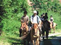 Equitation à proximité du camping en Marquenterre Equitation à proximité du camping en Marquenterre