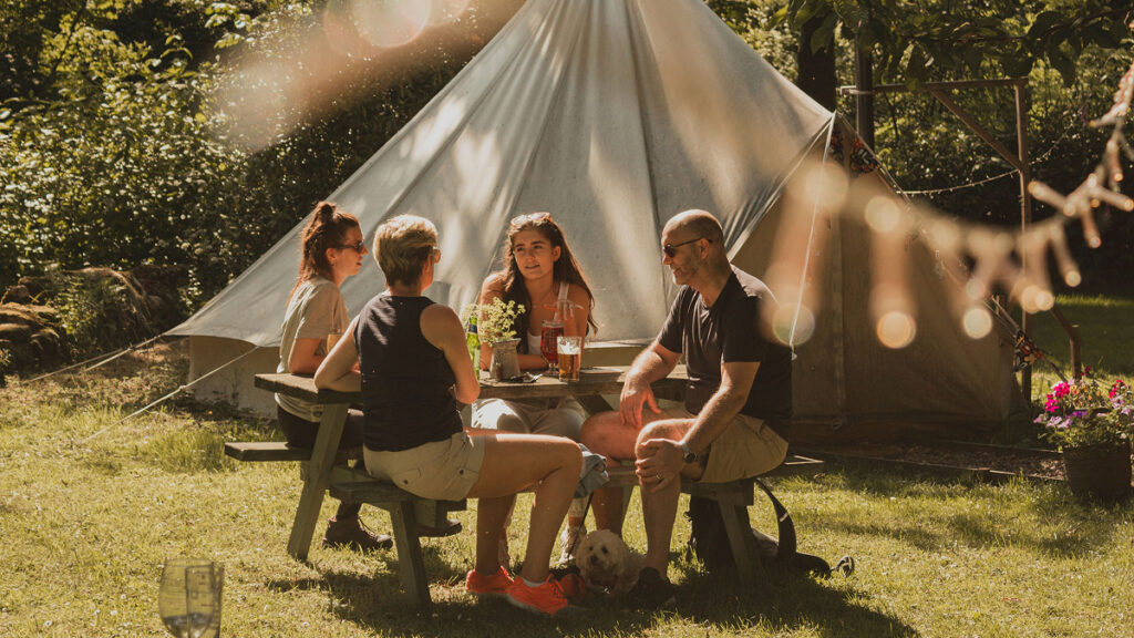 camping nature vertes feuilles the pitches